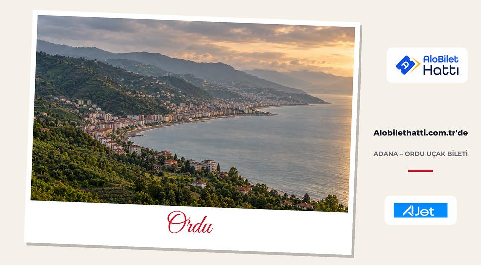 Karadeniz kıyısında fındıklı yeşil tepelerle çevrili bir sahil şehri