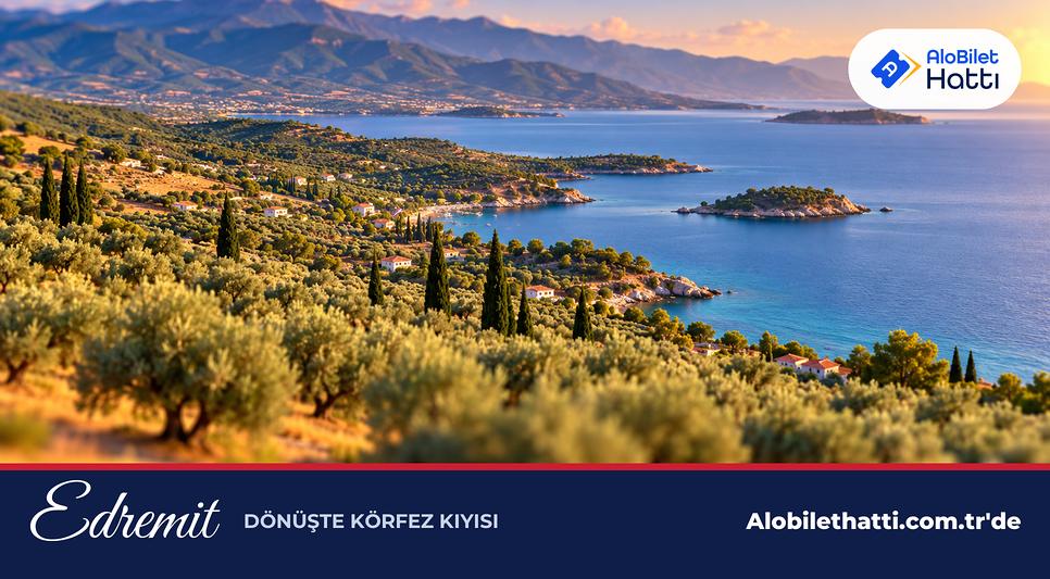 Edremit Körfezi'ne inen zeytinlikler ve arkada yükselen dağlar