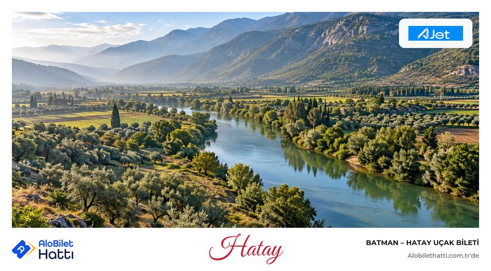 Asi Nehri vadisinde zeytinlikler ve arkada uzanan Amanos Dağları