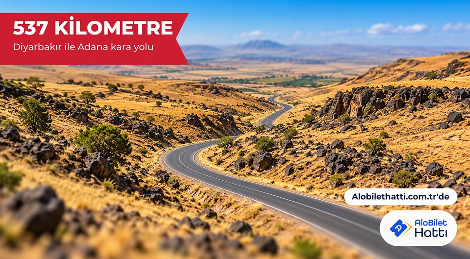 Kuru tepeler arasında ufka doğru kıvrılan uzun bir kara yolu