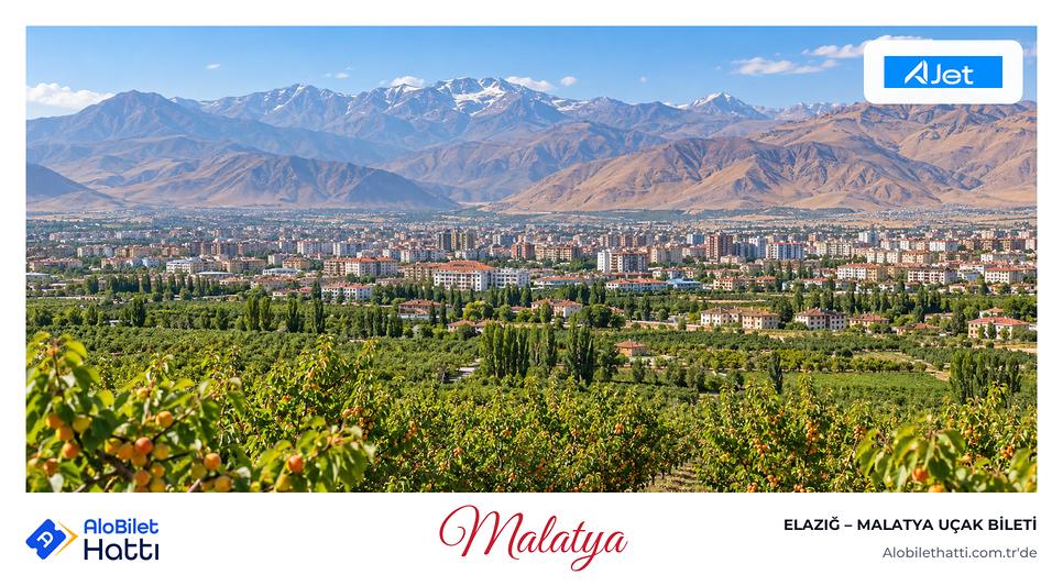 Kayısı bahçeleriyle çevrili ovada uzanan Malatya şehri ve dağlar