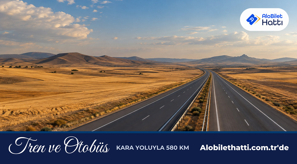 Anadolu bozkırında uzanan çift şeritli kara yolu ve buğday tarlaları