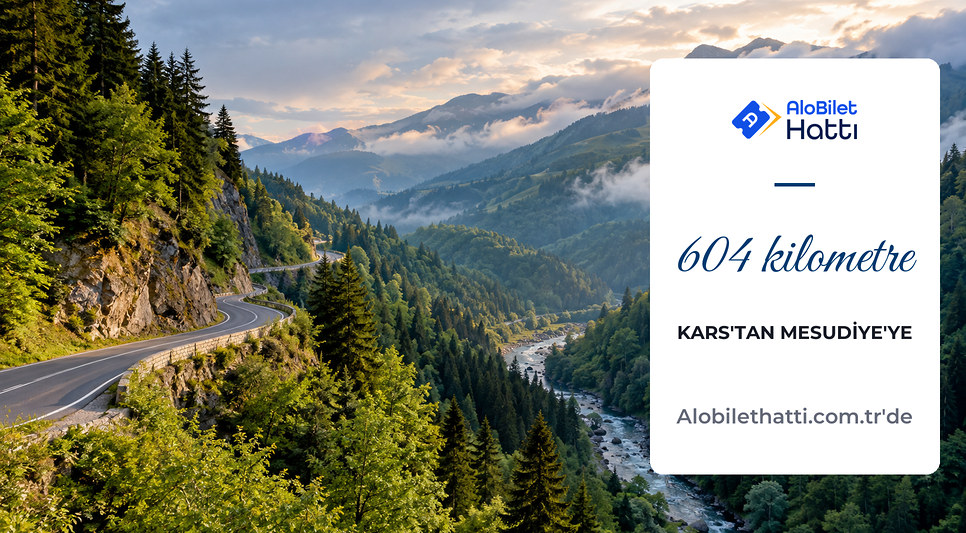Doğu Karadeniz dağlarında ormanlık vadiden geçen kıvrımlı asfalt yol