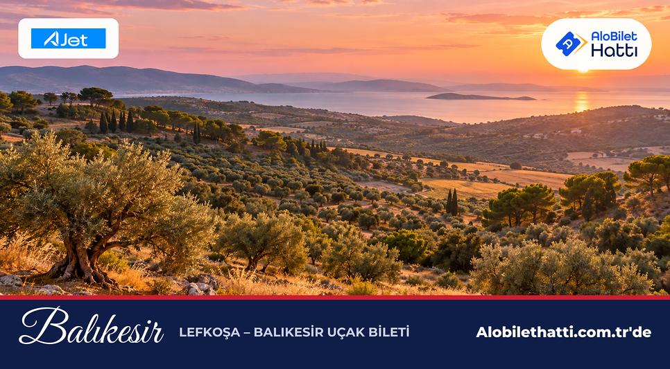 Balıkesir kırsalında zeytinlikler ve yumuşak tepelerle çevrili ova
