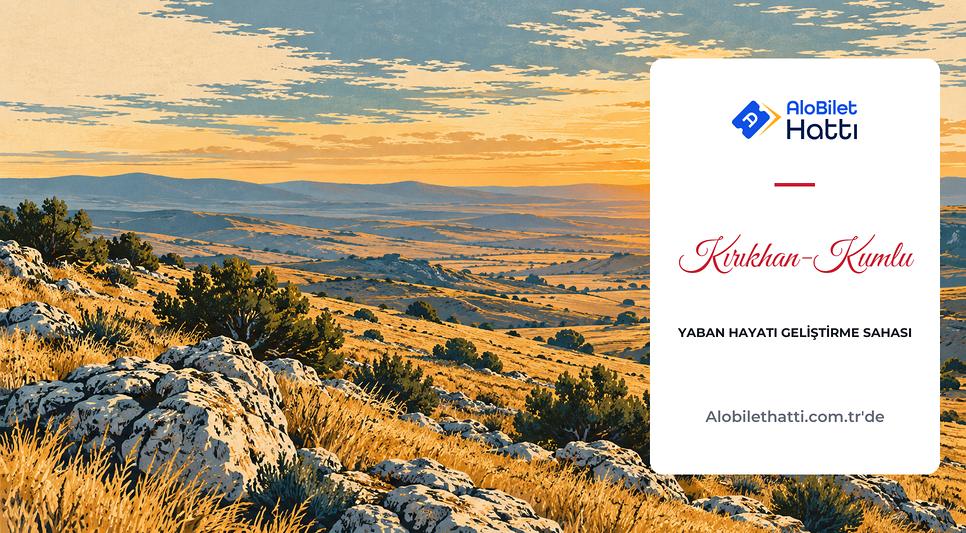 Seyrek çalılı taşlık tepeler ve kuru otlarla kaplı açık bir arazi