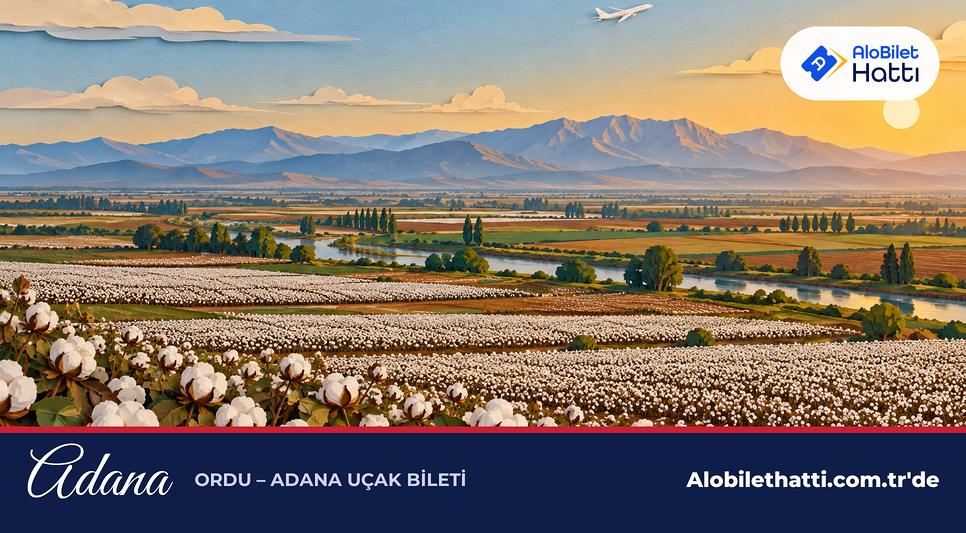 Çukurova ovasında pamuk tarlaları ve ufukta Toros dağları