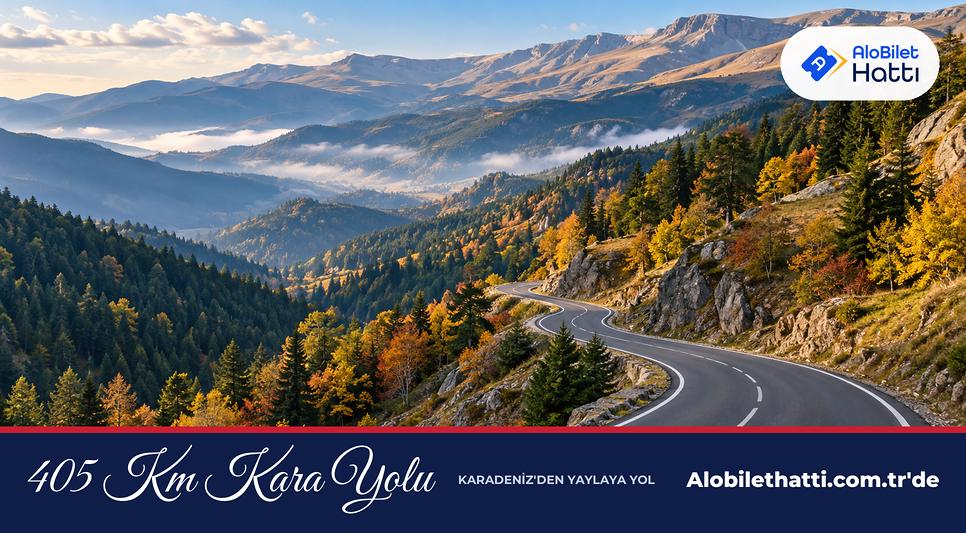 Yeşil Karadeniz dağlarından yüksek yaylaya tırmanan virajlı kara yolu