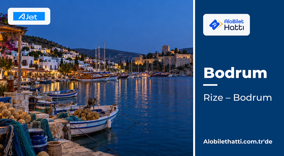 Bodrum körfezinde demirli ahşap tekneler ve yamaçtaki beyaz evler