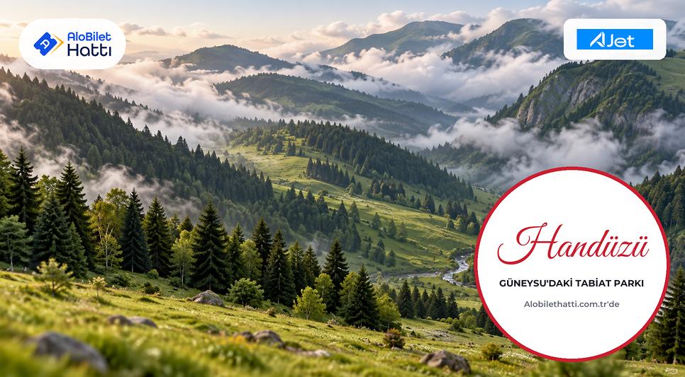 Rize'de sisli yamaçlarda yoğun ladin ormanı ve aralarında yeşil bir düzlük