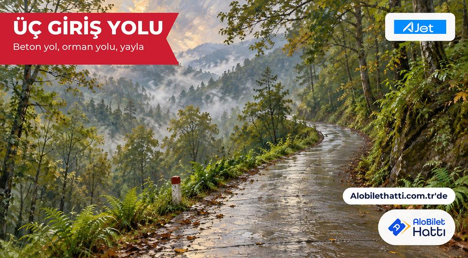 Orman içinden yükselen dar bir beton yol ve kenarında yağmurla ıslanmış eğrelti otları