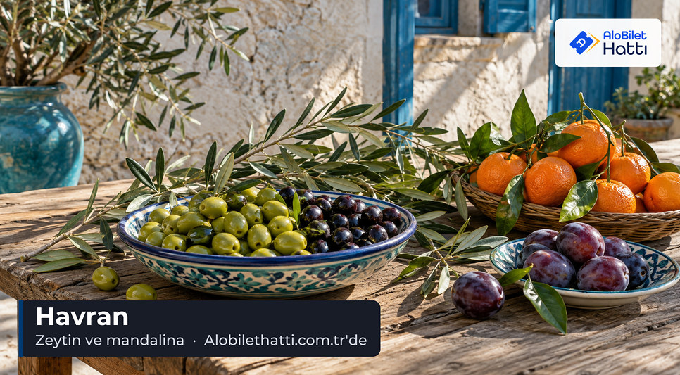 Ahşap tezgâhta zeytin dalları, yeşil zeytinler ve dalında mandalinalar