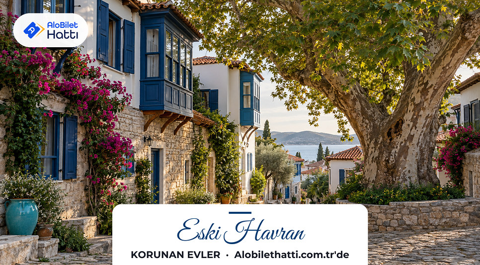 Dar bir kasaba sokağında cumbalı eski taş ve ahşap evler, yanında yaşlı çınar
