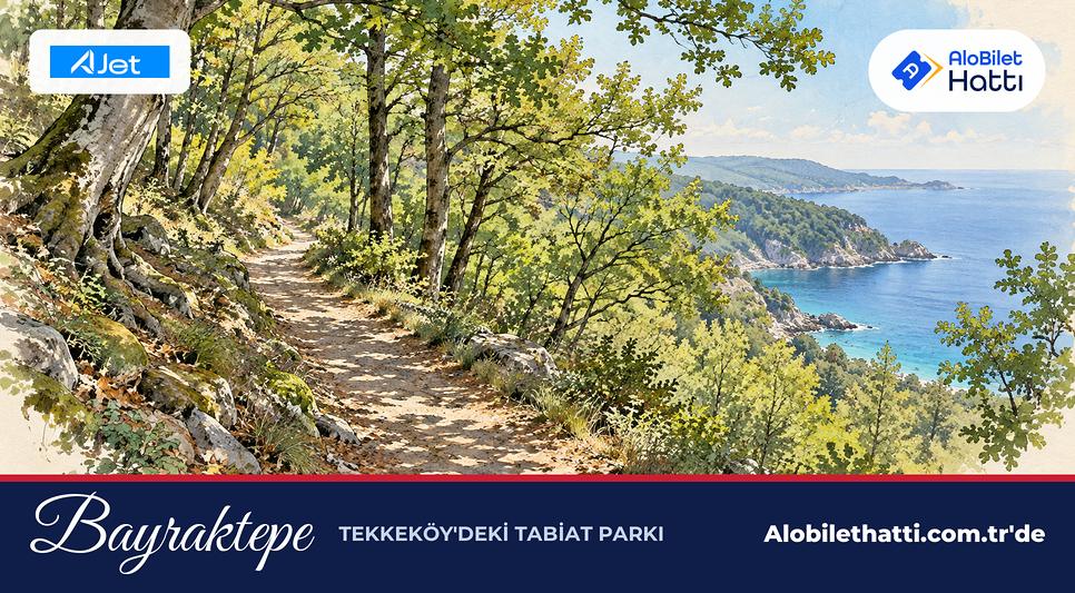 Karadeniz kıyısı yakınında kayın ve gürgen ağaçları arasından geçen yürüyüş yolu