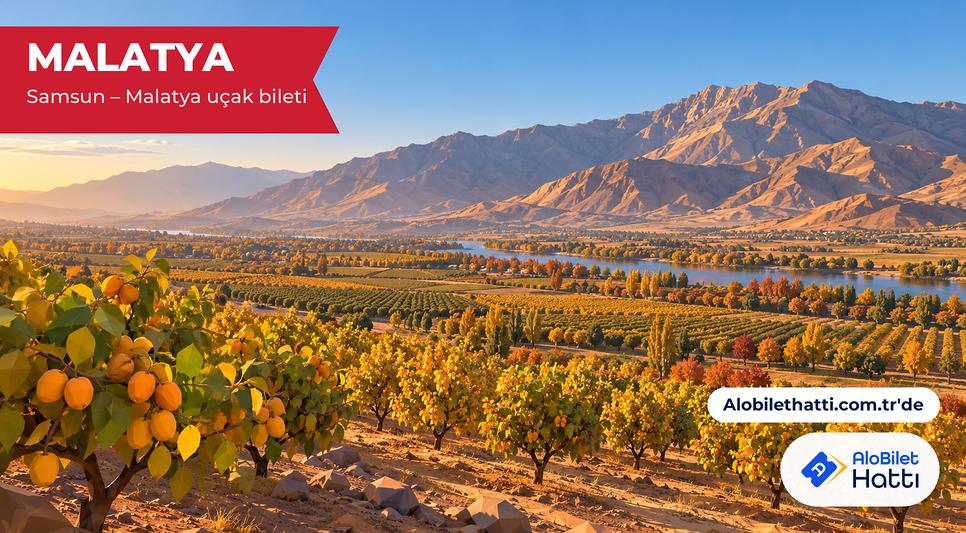 Geniş ovada düzenli meyve bahçeleri ve arkada kahverengi dağlar
