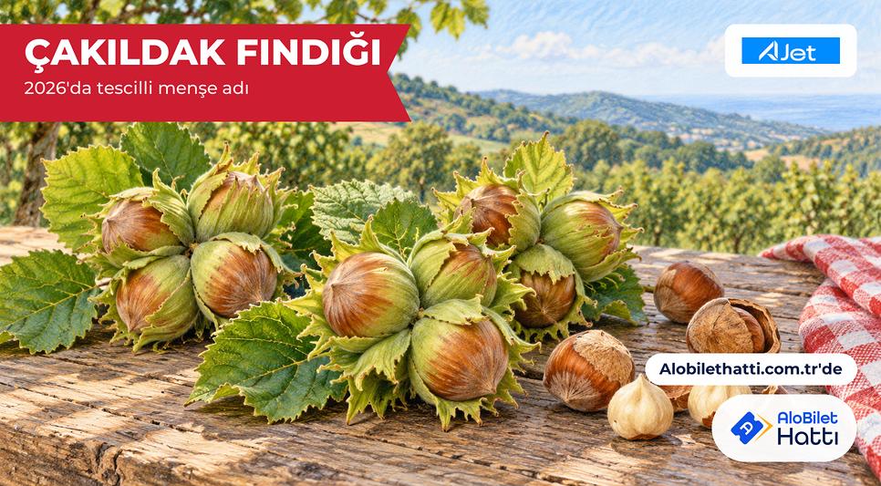 Yeşil zuruflarıyla dörtlü salkım hâlinde taze fındıklar ve kırılmış kabuklar