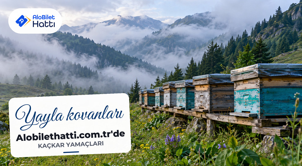 Sisli bir yayla çayırında dizilmiş ahşap arı kovanları