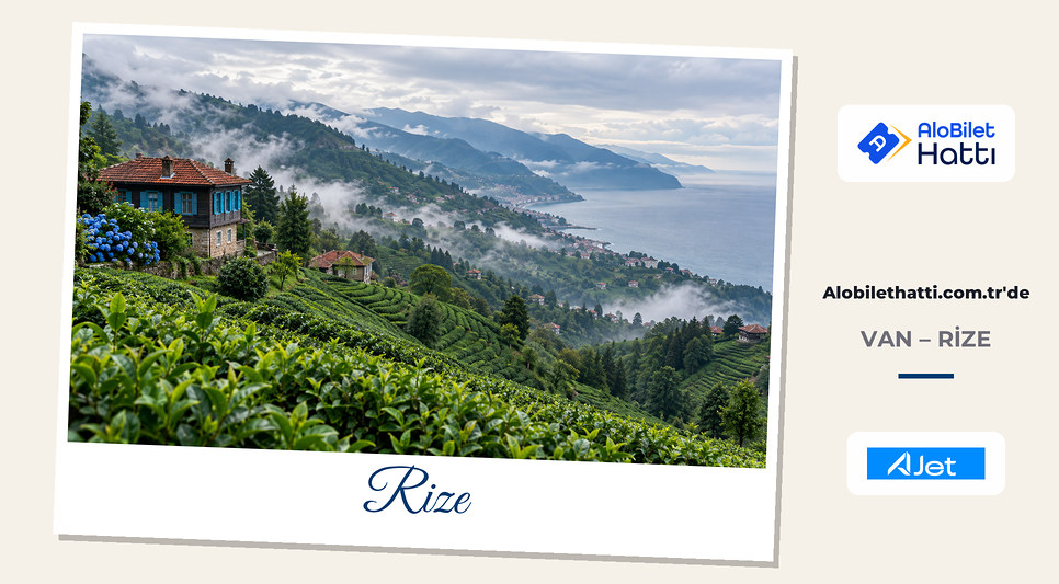 Rize'de denize bakan dik yamaçlarda çay bahçeleri ve sis